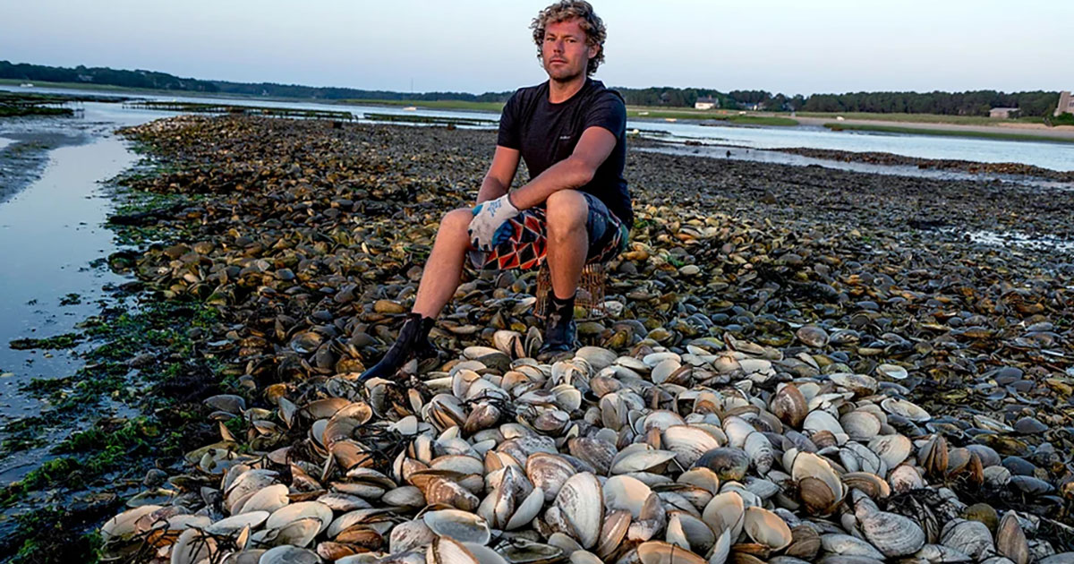 Clint Austin Wellfleet Oysters